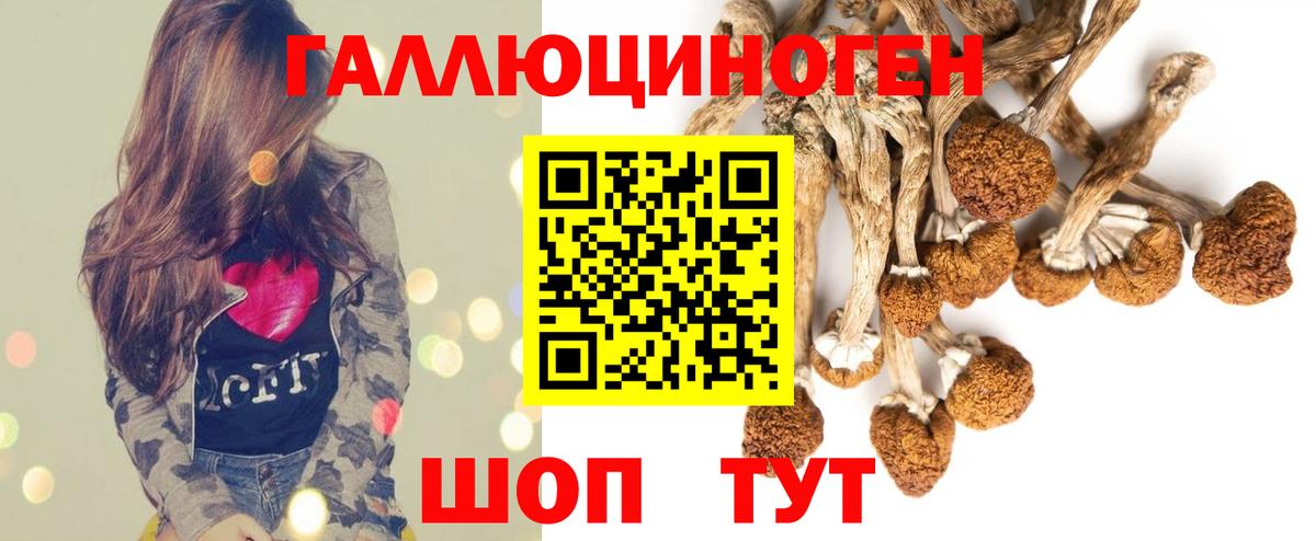 Псилоцибиновые грибы прущие грибы  Вход с VPN  Кузнецк 